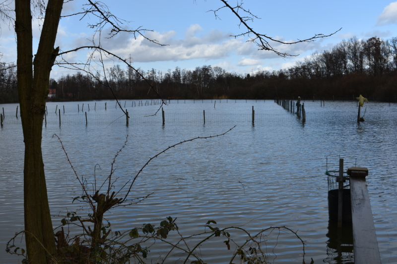 Wandeling Platwijers 17 februari 2022